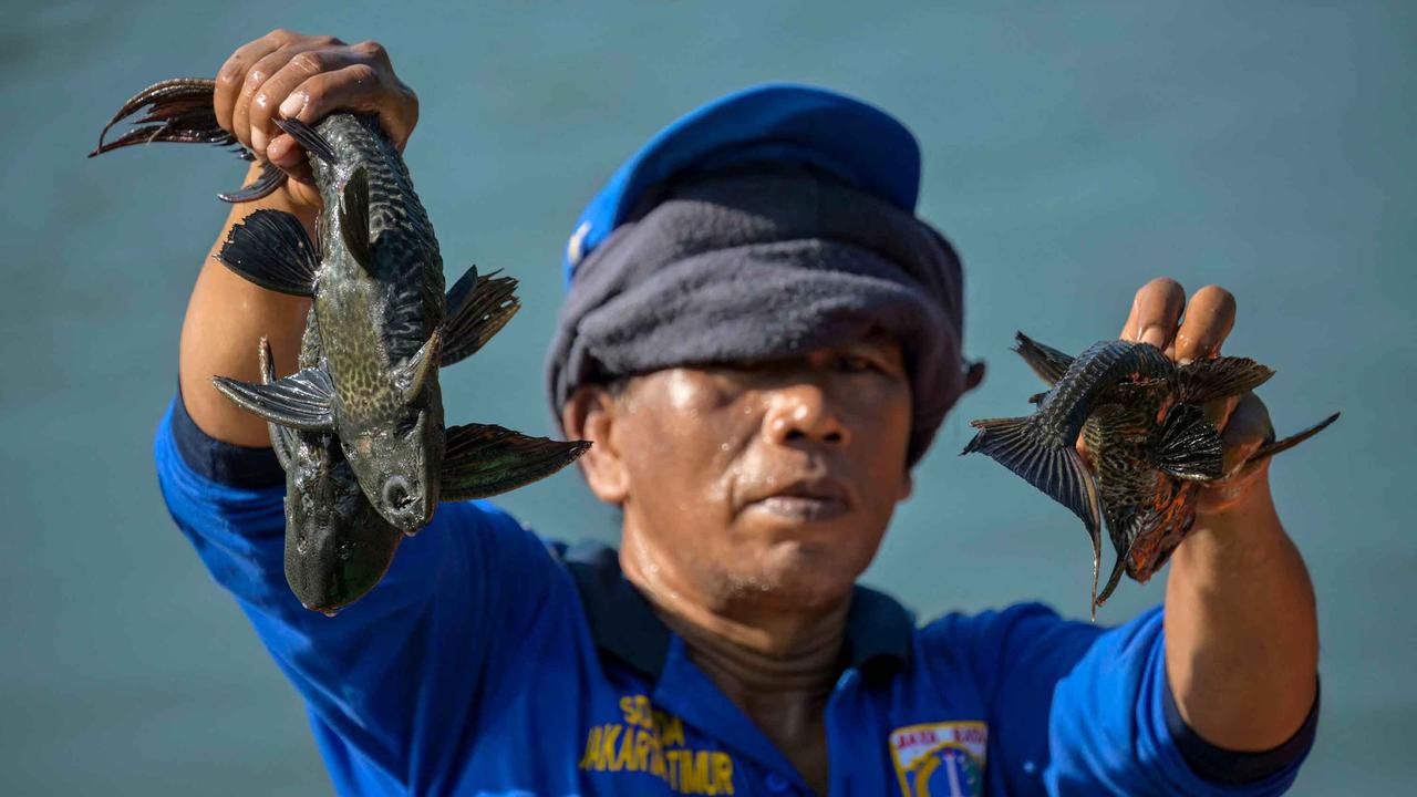 Sumber foto : Liputan6.com