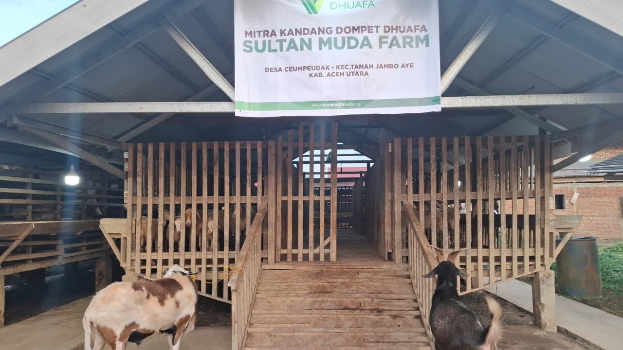 Sumber foto : detik.com